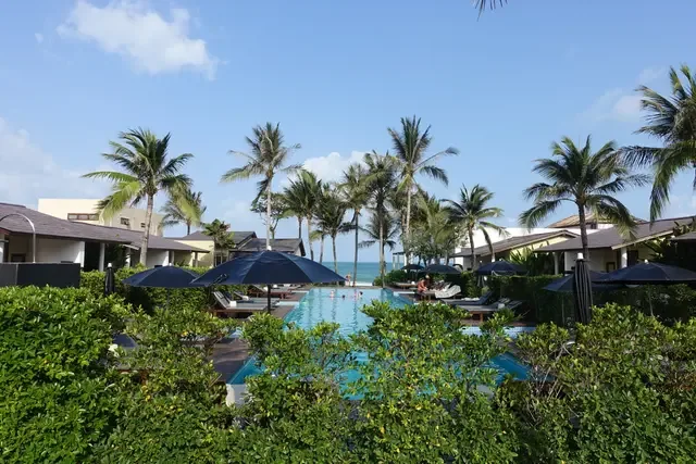 Tropical resort pool surrounded by palm trees